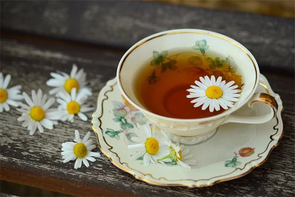 花壇の草取りはなぜ難しい？プロが教える予防と対策の完全ガイド