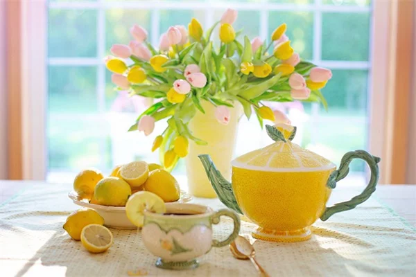 多年生野菜13選！一度植えたら10年収穫できるって知ってる？