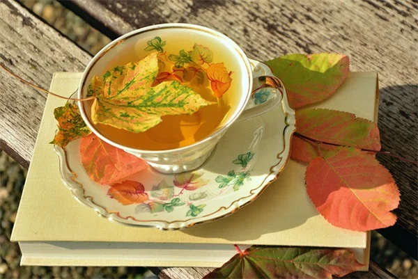 秋に剪定してはいけない7つの植物！間違えると花が咲かない理由